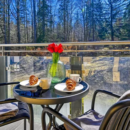 Pod Szrenica, Sun & Snow Apartamento